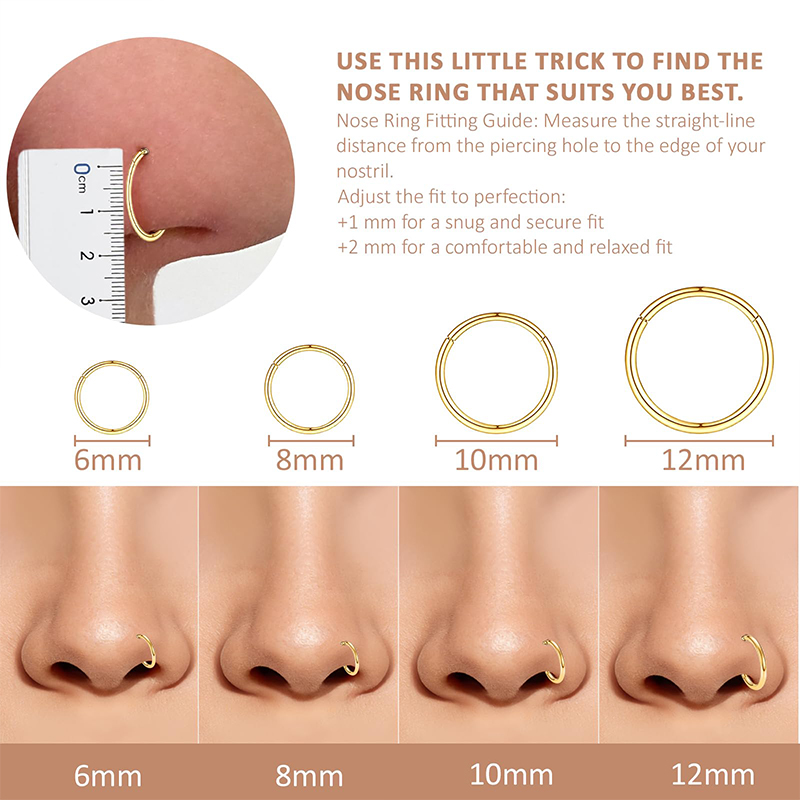 16G 316L サージカルスチール製ヒンジ付きクリッカーノ - Body Jewelry Surgical Steel のレビューと価格