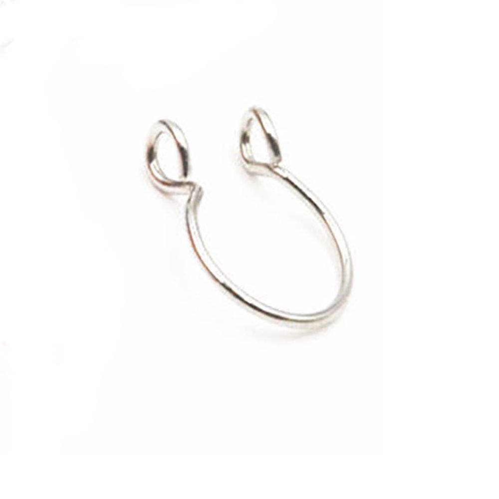 ステンレス製の外科用イヤーピアス、リップリング、イヤーフープ - Body Jewelry Surgical Steel のレビューと価格